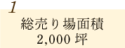 総売り場面積2,000坪